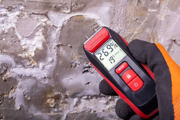 Best Mold Cleaning Services  in Rmichael, CA