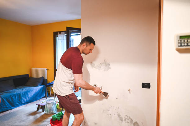 Best Black Mold Removal  in Rmichael, CA